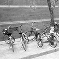Bikes on a Chinese Street