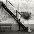 A stair, Moncigoli. Tuscany - country side