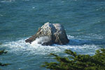 Lobos Rock near Lincoln Park in San Francisco