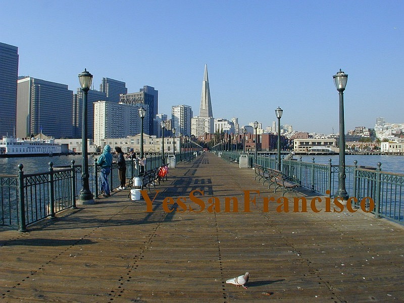 San Francisco TransAmerica Pyramid and Embarcadero view from Pier 7